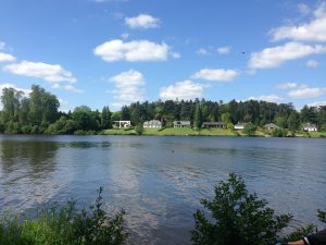 berges du flueves aux alentours de Nantes